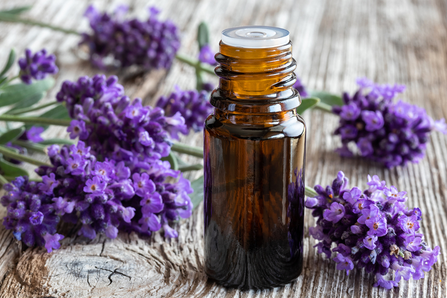 Essential Oil and Lavender