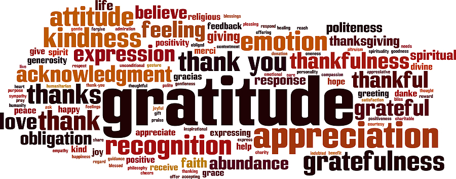 Gratitude: A Powerful Catalyst for Happiness