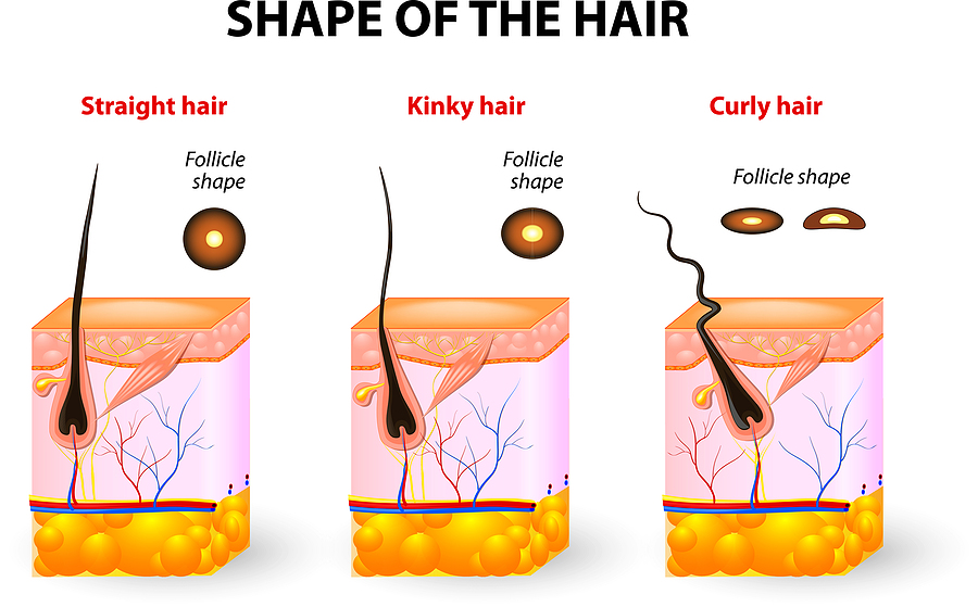 The Hair Pathway: More Complex than You Think